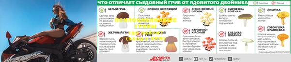 скорость Алзамай