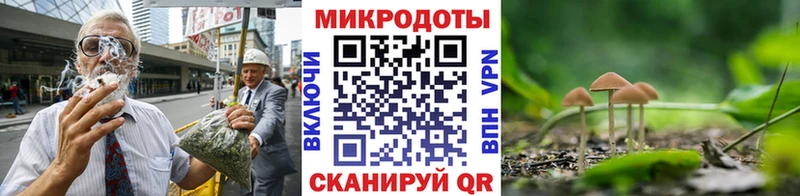 Псилоцибиновые грибы Psilocybine cubensis  блэк спрут как зайти  Шелехов 